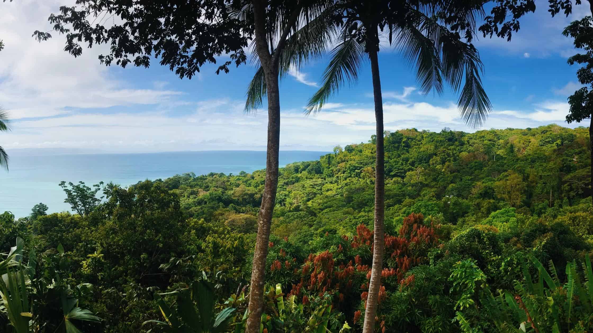 15 de setiembre Costa Rica